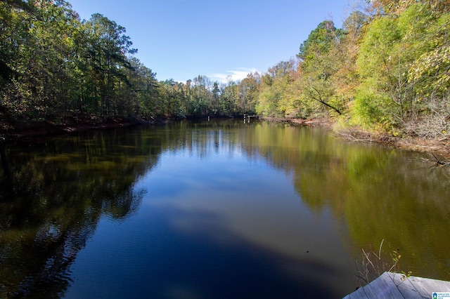 property view of water