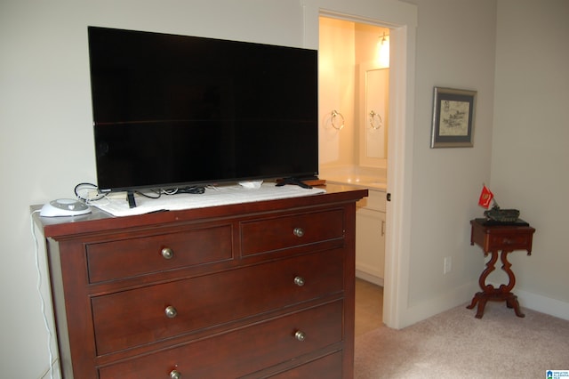 interior details with carpet floors