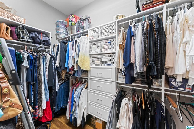 spacious closet with dark hardwood / wood-style floors