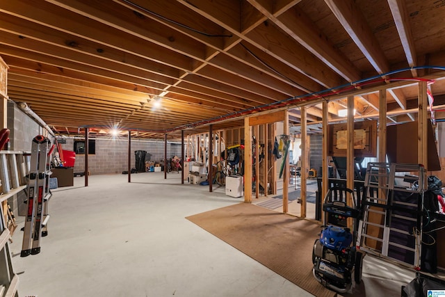 basement with brick wall