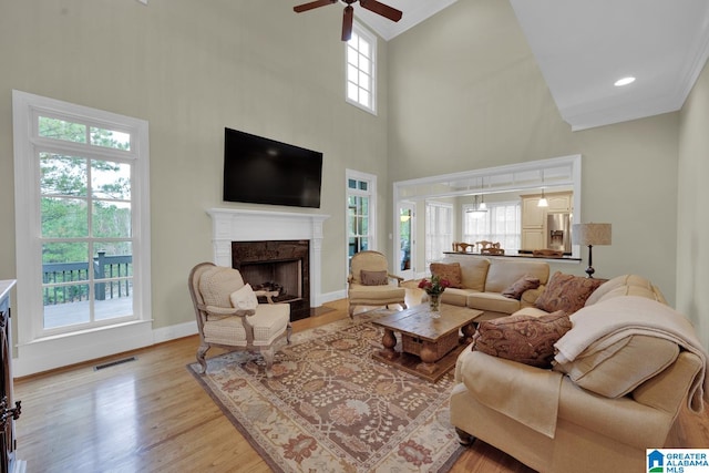 living room with light hardwood / wood-style floors, a healthy amount of sunlight, and a high end fireplace