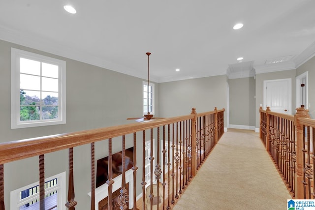 hallway with a wealth of natural light, light carpet, and crown molding