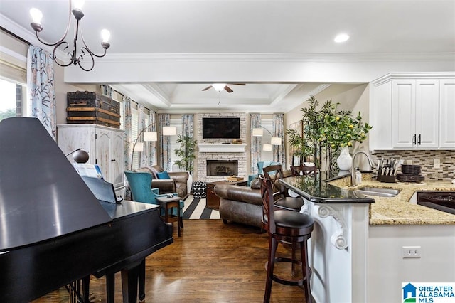 kitchen featuring white cabinetry, sink, light stone counters, a raised ceiling, and dark wood-type flooring