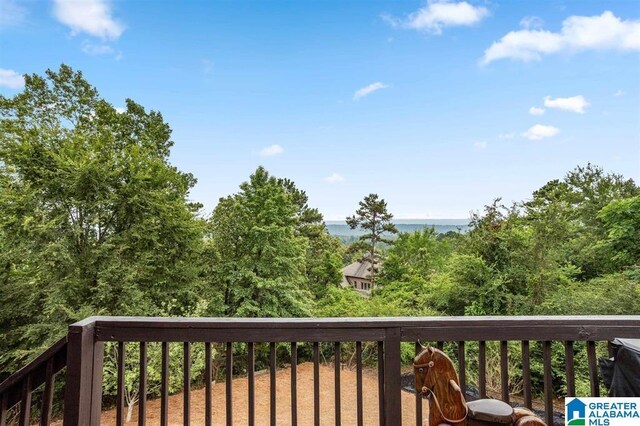 110 Sterling Lakes Dr, Helena, AL 35080 - wooden terrace featuring a water view