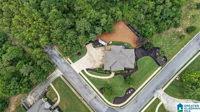 110 Sterling Lakes Dr, Helena, AL 35080 - drone / aerial view