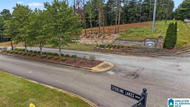 110 Sterling Lakes Dr, Helena, AL 35080 - view of asphalt road with curbs