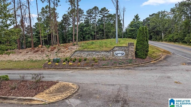 110 Sterling Lakes Dr, Helena, AL 35080 - view of asphalt road featuring curbs