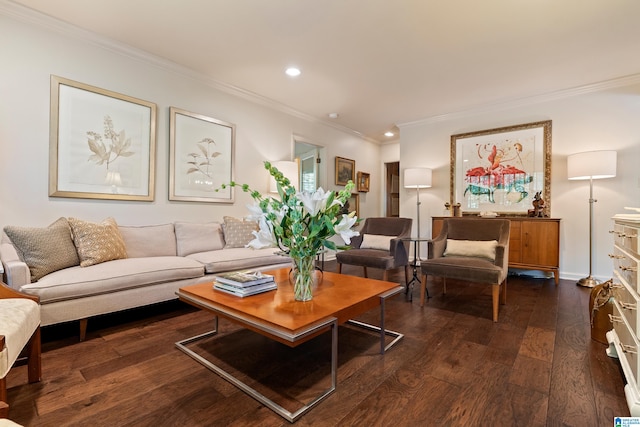 living room with dark hardwood / wood-style floors and ornamental molding