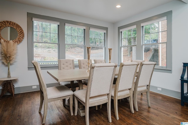 dining room featuring a wealth of natural light and dark hardwood / wood-style floors