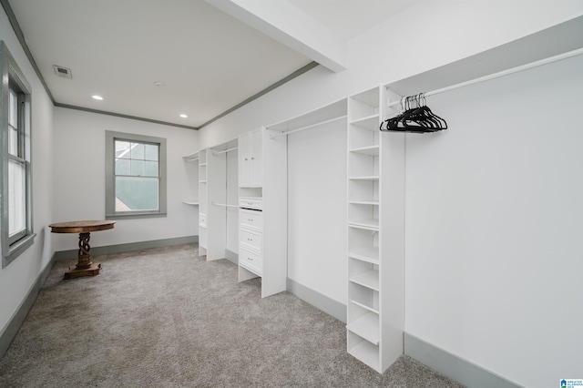 spacious closet with light carpet