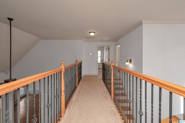 corridor featuring carpet and ornamental molding