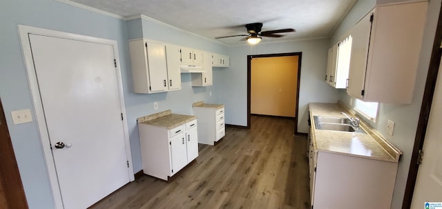 kitchen with white cabinetry, sink, ornamental molding, ceiling fan, and hardwood / wood-style floors