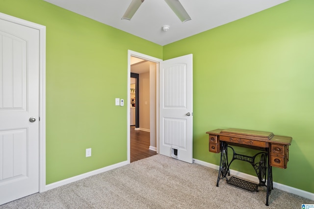 miscellaneous room with carpet floors