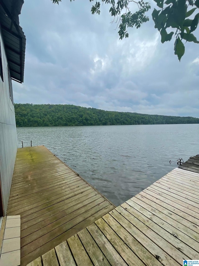 dock area featuring a water view