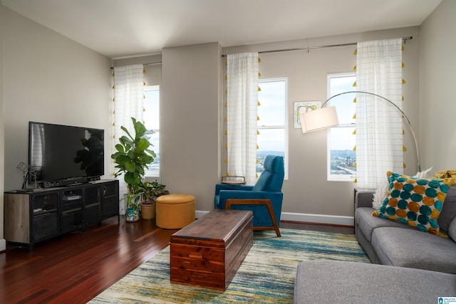 living room featuring dark hardwood / wood-style flooring