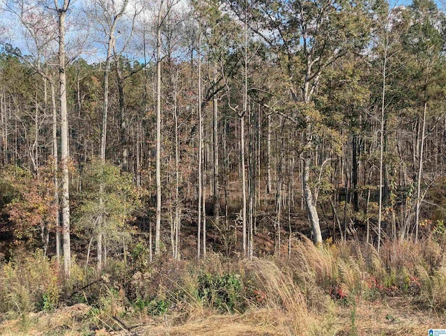 7016 County Road 65 Unit 0, Fruithurst, AL 36262