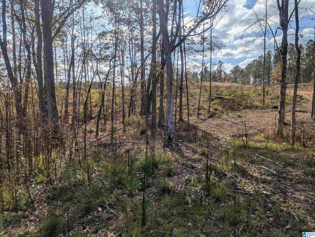 7016 County Road 65 Unit 0, Fruithurst, AL 36262