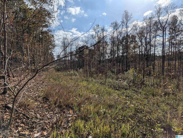 7016 County Road 65 Unit 0, Fruithurst, AL 36262