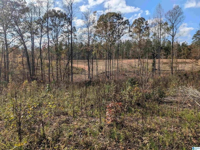 7016 County Road 65 Unit 0, Fruithurst, AL 36262