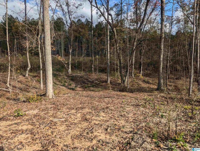 7016 County Road 65 Unit 0, Fruithurst, AL 36262