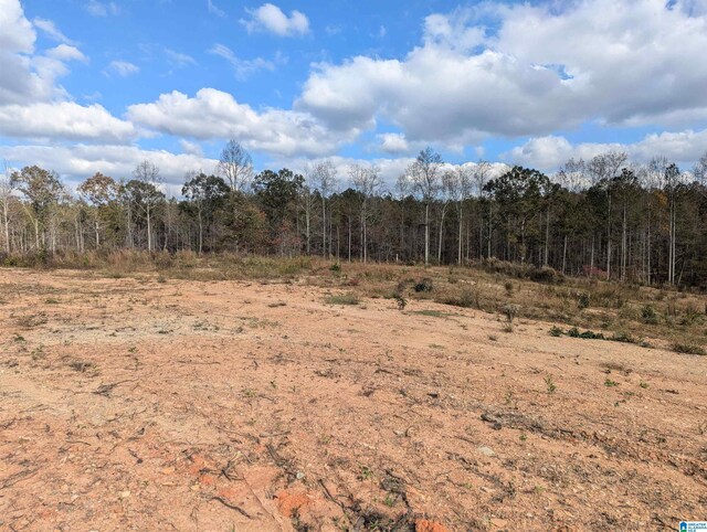 7016 County Road 65 Unit 0, Fruithurst, AL 36262