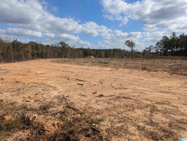 7016 County Road 65 Unit 0, Fruithurst, AL 36262