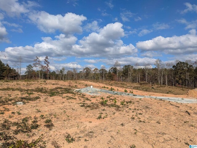 7016 County Road 65 Unit 0, Fruithurst, AL 36262