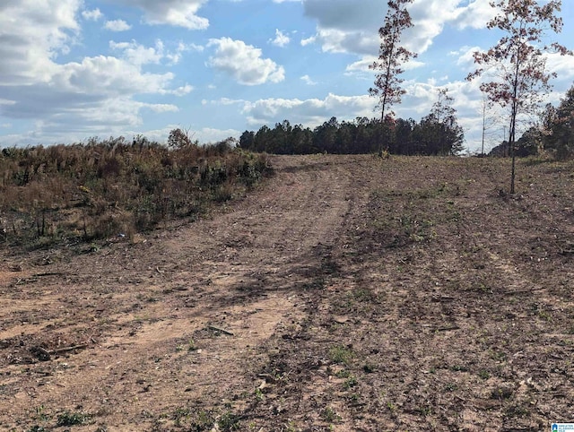 7016 County Road 65 Unit 0, Fruithurst, AL 36262