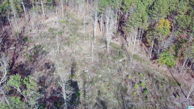 7016 County Road 65 Unit 0, Fruithurst, AL 36262