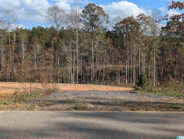 7016 County Road 65 Unit 0, Fruithurst, AL 36262