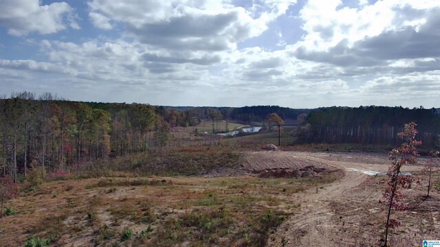 7016 County Road 65 Unit 0, Fruithurst, AL 36262