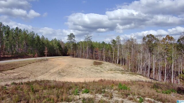 7016 County Road 65 Unit 0, Fruithurst, AL 36262