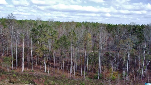7016 County Road 65 Unit 0, Fruithurst, AL 36262