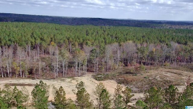 7016 County Road 65 Unit 0, Fruithurst, AL 36262