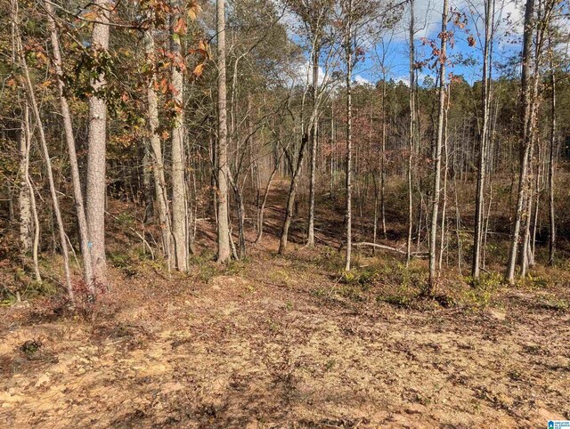 7016 County Road 65 Unit 0, Fruithurst, AL 36262