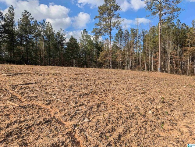 7016 County Road 65 Unit 0, Fruithurst, AL 36262