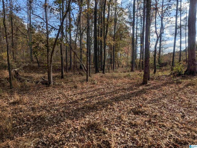 7016 County Road 65 Unit 0, Fruithurst, AL 36262
