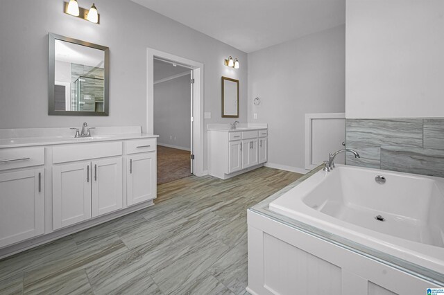 bathroom featuring vanity and a bathing tub