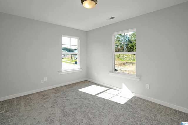 spare room featuring carpet and plenty of natural light