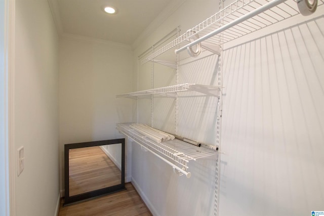 spacious closet with hardwood / wood-style flooring