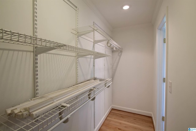 walk in closet with light hardwood / wood-style flooring