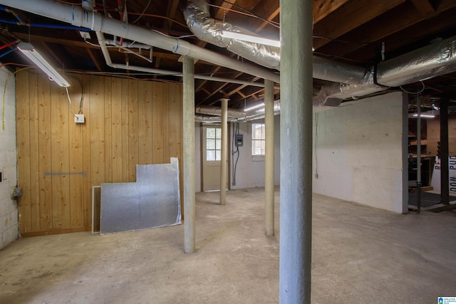 basement featuring wood walls