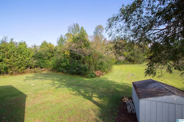 view of yard with a storage shed