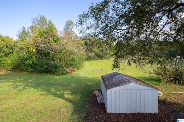 view of yard featuring a storage unit