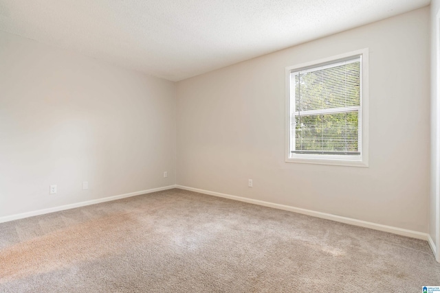 empty room with a textured ceiling and carpet