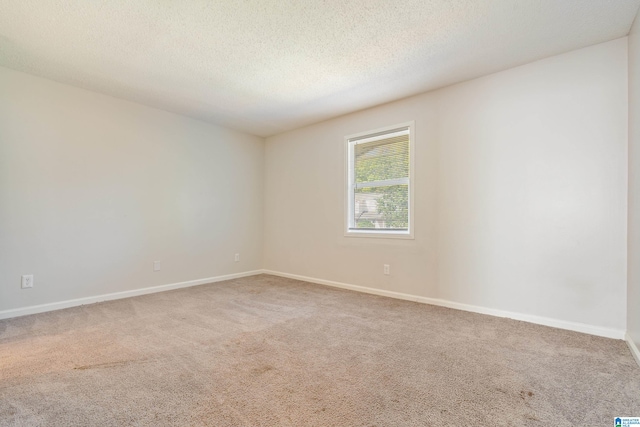 unfurnished room with a textured ceiling and carpet floors