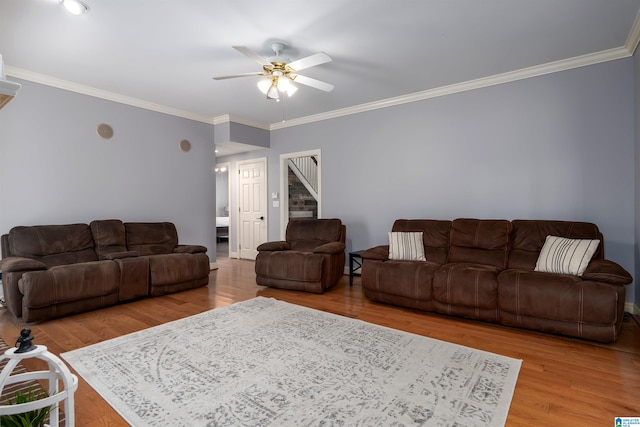 living room featuring ceiling fan, light hardwood / wood-style flooring, and crown molding