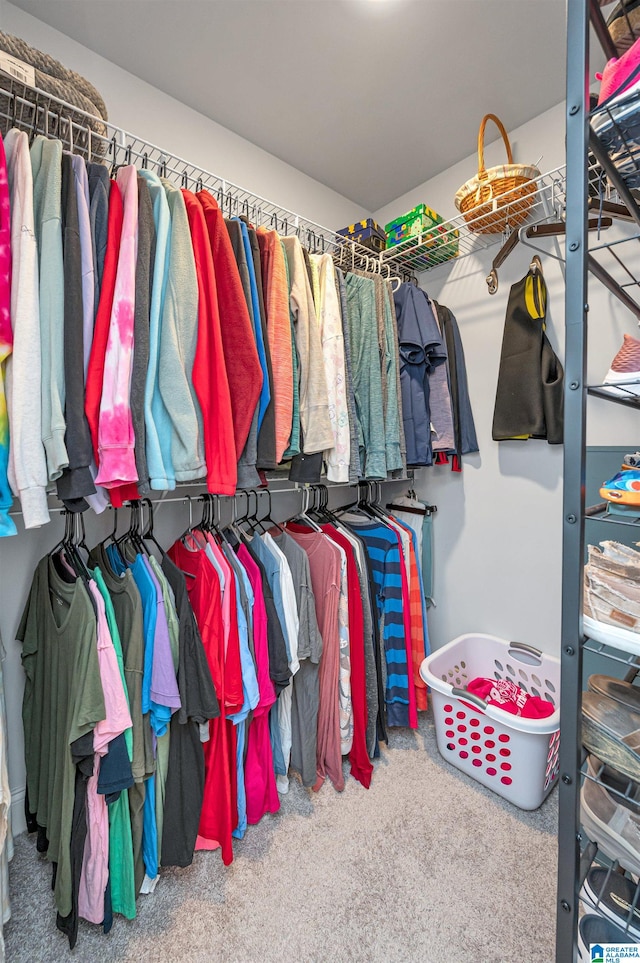 walk in closet with carpet flooring