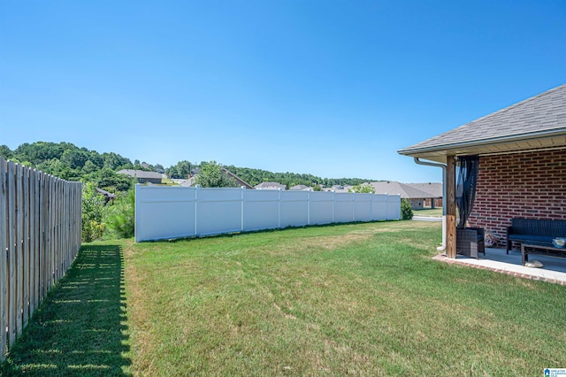 view of yard featuring a patio area