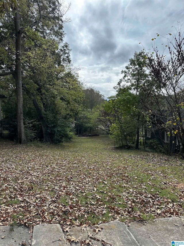 6029 5th Ct S Unit 0, Birmingham AL, 35212 land for sale